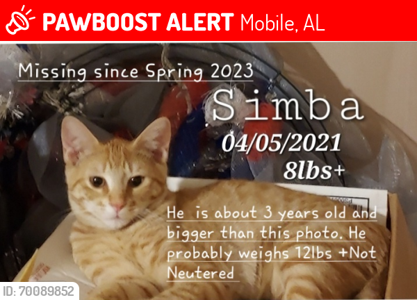 Lost Male Cat last seen Dover st and Mississippi St, Mobile, AL 36618