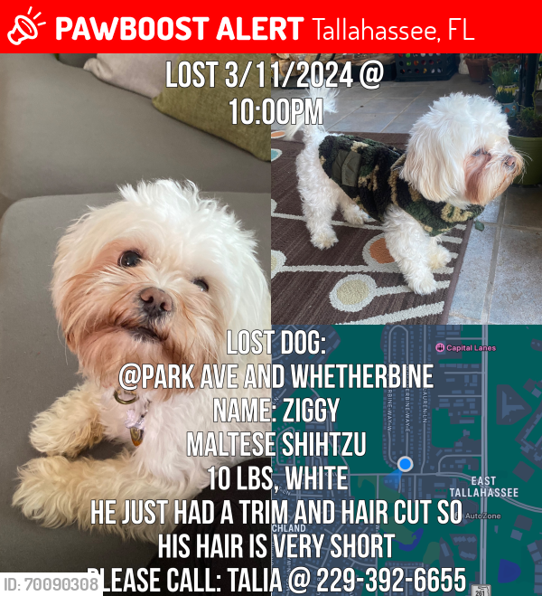 Lost Male Dog last seen Near Whetherbine way East, Tallahassee, FL 32301 , Tallahassee, FL 32301