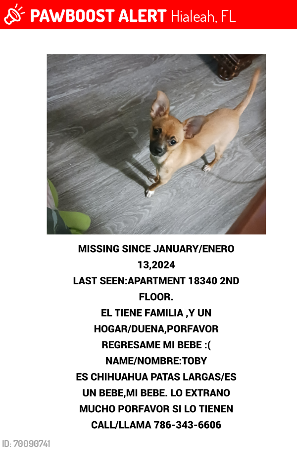 Lost Male Dog last seen Near nw 62 ave in or by Villa Esperanza, Hialeah, FL 33015