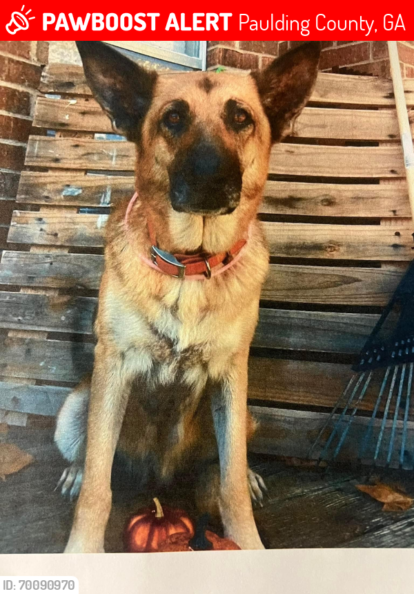 Lost Female Dog last seen Willow Springs Road and Supper Club Road, Dallas, GA, Paulding County, GA 30132