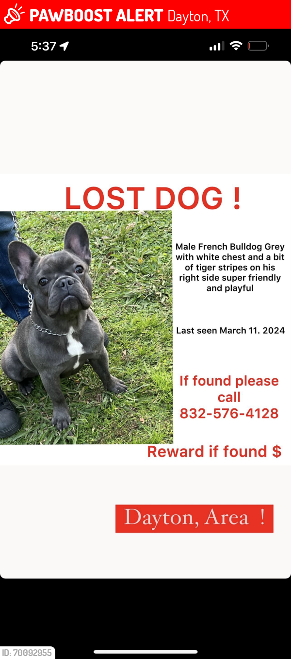 Lost Male Dog last seen Dayton Tx, Dayton, TX 77535