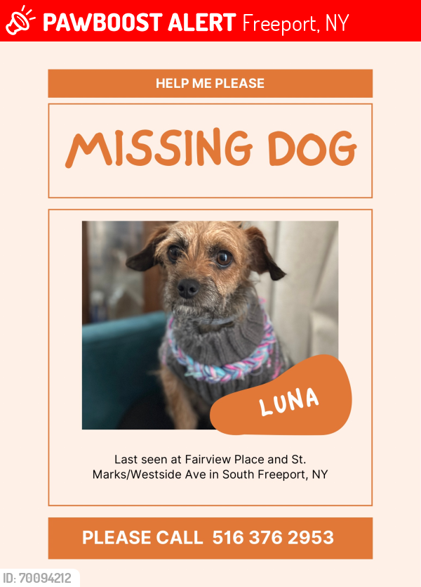 Lost Female Dog last seen Fairview Pl & St. Marks Ave, Freeport, NY 11520