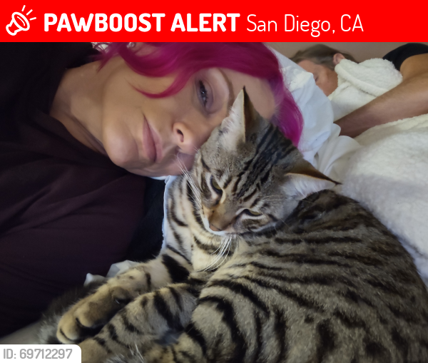 Lost Male Cat last seen Mission Gorge , San Diego, CA 92120