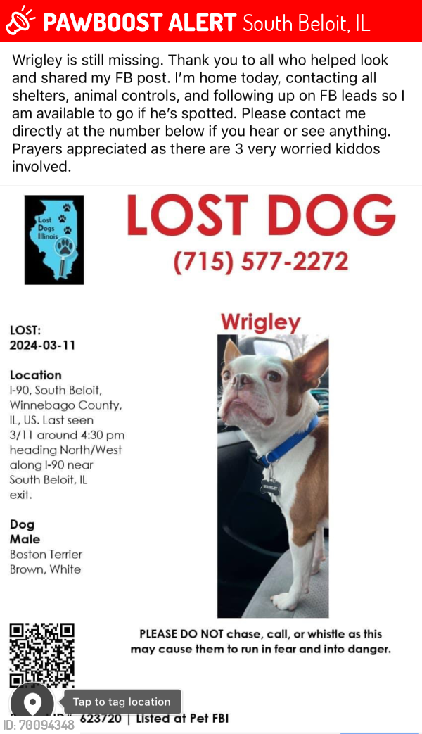 Lost Male Dog last seen I-90 at South Beloit exit heading north, South Beloit, IL 61080