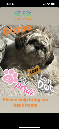 Lost Male Dog last seen 58th Oneida st Commercecity Co,80022, Denver, CO 80224