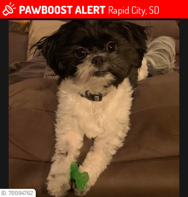 Lost Male Dog last seen Caputa , Rapid City, SD 57703