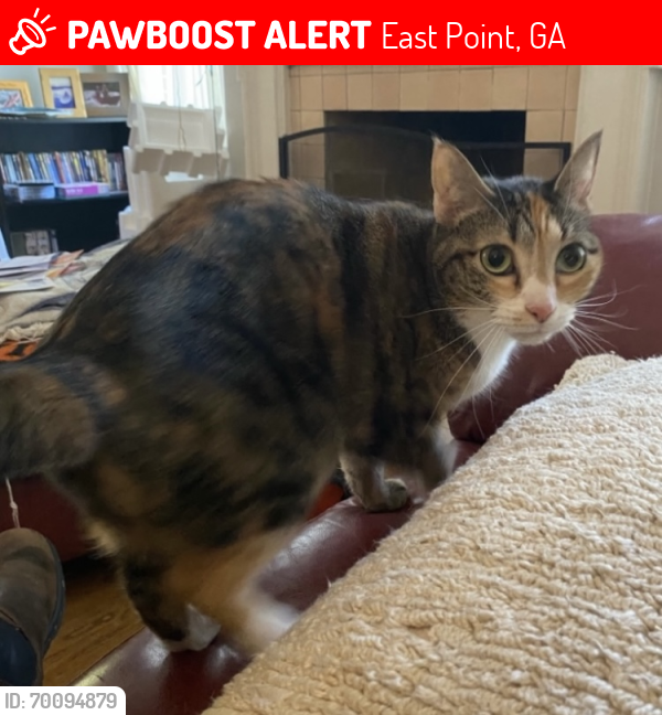 Lost Female Cat last seen Cheney St. & Cleveland Ave. , East Point, GA 30344