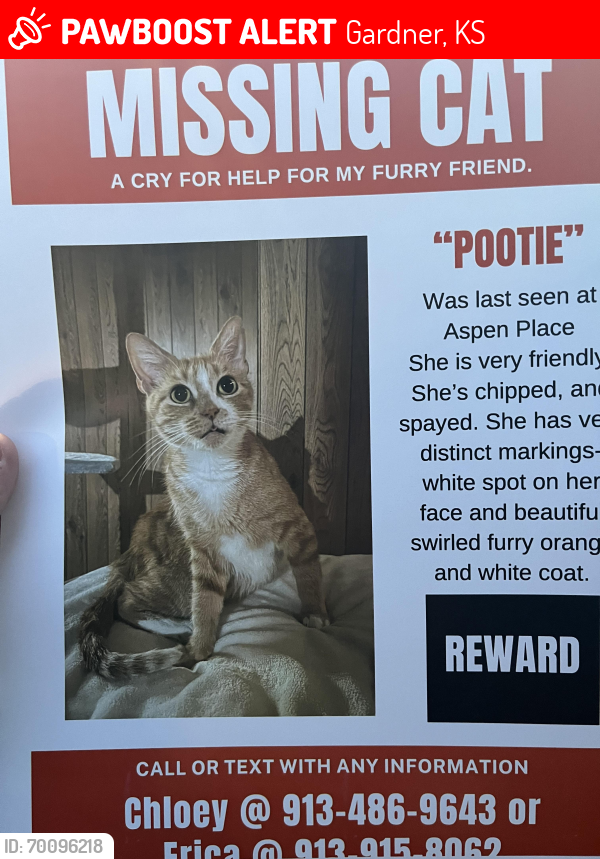 Lost Female Cat last seen Aspen Place apmts , Gardner, KS 66030