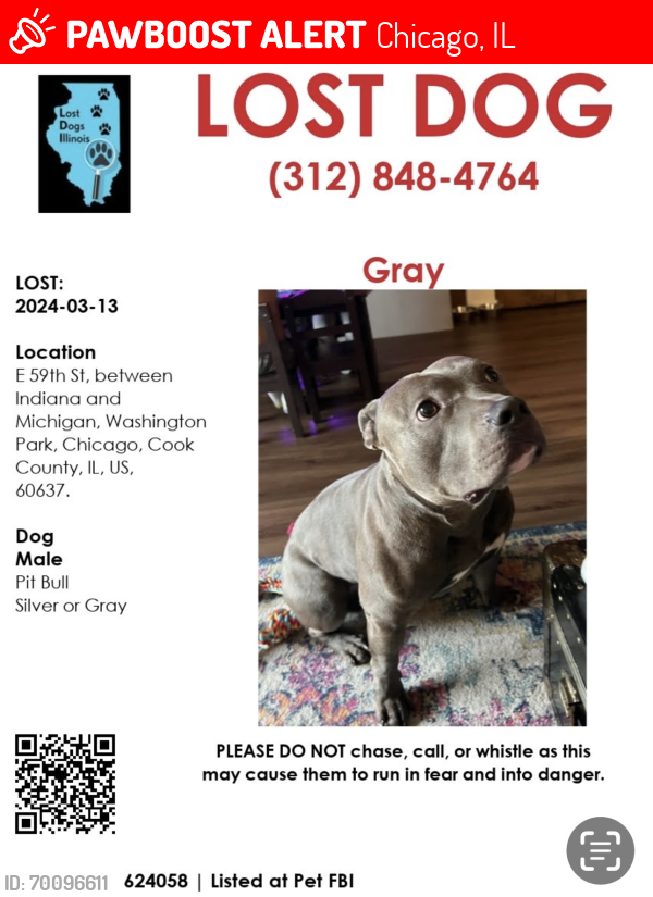 Lost Male Dog last seen E 59th street and Michigan Ave , Chicago, IL 60637