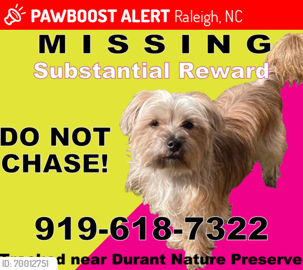 Lost Male Dog last seen Spottswood St, Raleigh, NC 27615, Raleigh, NC 27615