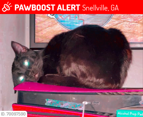 Lost Female Cat last seen Bethany church and hey 78, Snellville, GA 30039