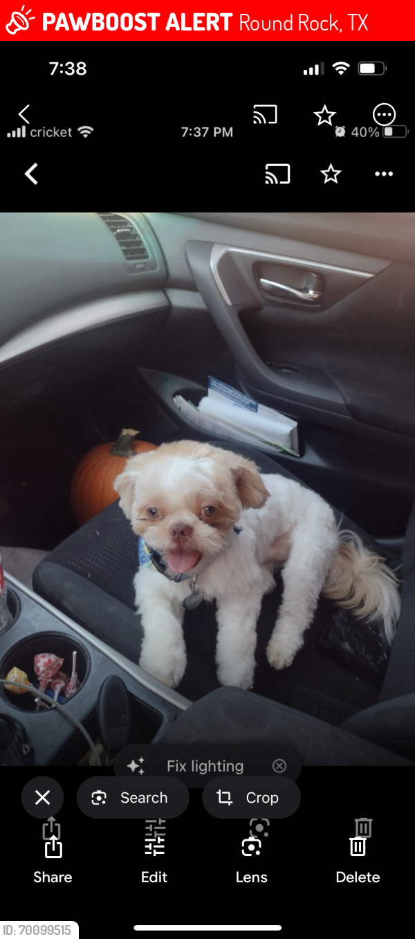 Lost Male Dog last seen AW Grimes, Round Rock, TX 78664