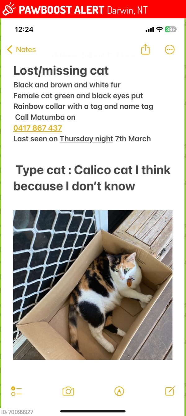 Lost Female Cat last seen Near Goodman Street, Darwin, NT 