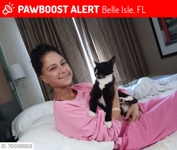 Lost Male Cat last seen Walmart s obt, Orlando, FL 32839