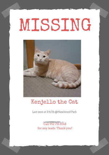 Lost Male Cat last seen Phalen Lake, Ramsey County, MN 55106