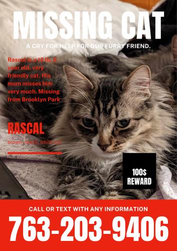 Lost Male Cat last seen West River Road and 82nd, Brooklyn Park, MN 55428