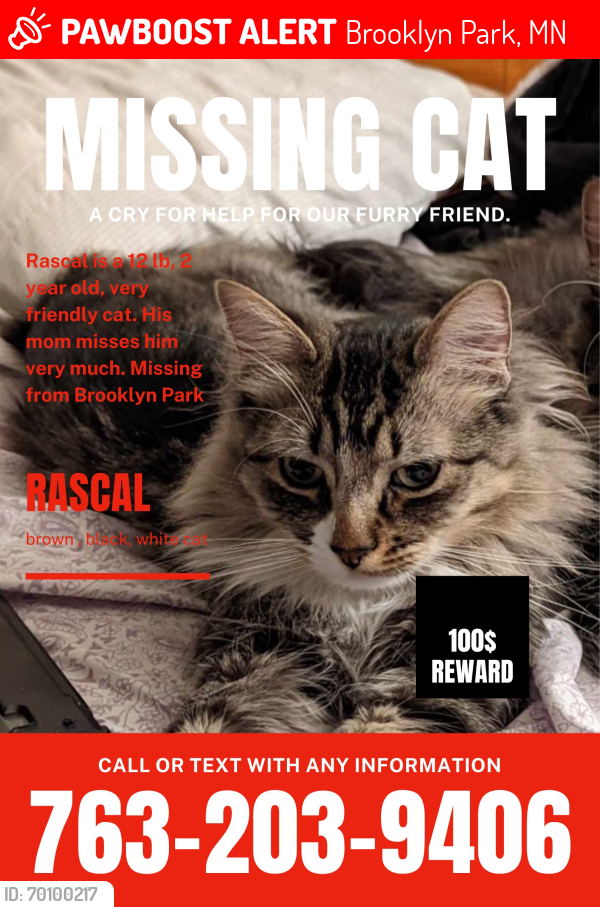 Lost Male Cat last seen West River Road and 82nd, Brooklyn Park, MN 55428