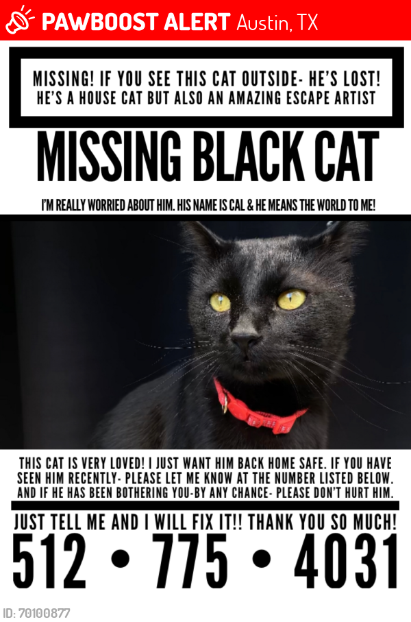 Lost Male Cat last seen Accross the street from the post office on Menchaca , Austin, TX 78745