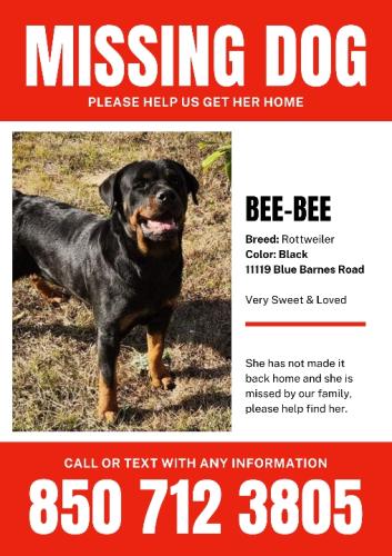 Lost Female Dog last seen Blue barnes rd, Pensacola, FL 32501