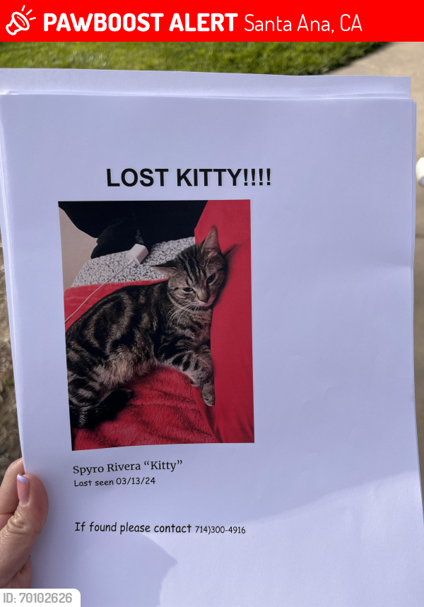 Lost Male Cat last seen Bristol/riverglen lane , Santa Ana, CA 92706
