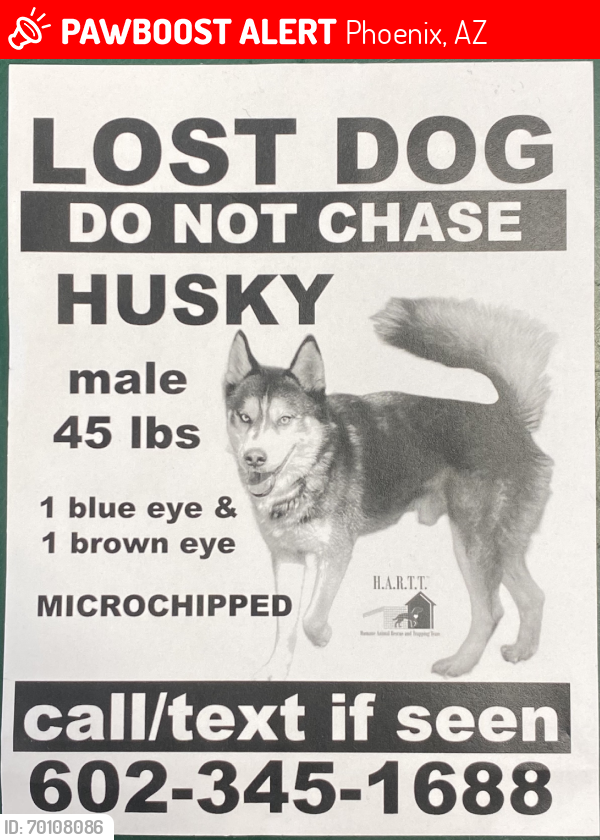 Lost Male Dog last seen 33rd St. and Indian School Rd., Phoenix, AZ 85018