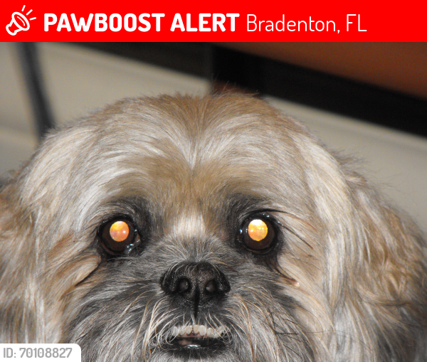 Petfinder bradenton store