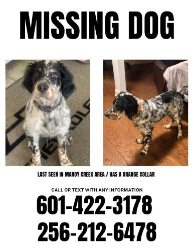 Lost Male Dog last seen Manoy creek area, Tallapoosa County, AL 36861