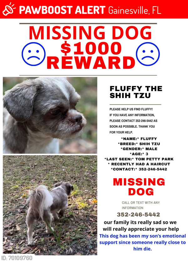 Lost Male Dog last seen Tom Petty Park, Gainesville, FL 32609