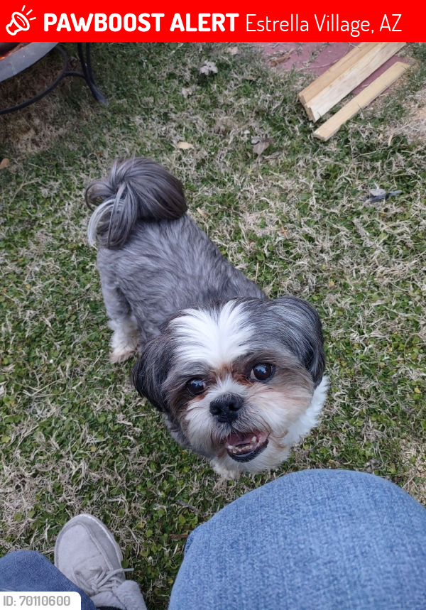 Lost Male Dog last seen 99th Ave and Southern ave, Tolleson, AZ 85353