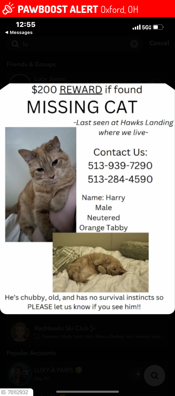 Lost Male Cat last seen Hawks Landing apmts, there’s a post office nearby and a lot of neighborhoods , Oxford, OH 45056