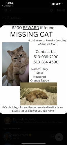 Lost Male Cat last seen Hawks Landing apmts, there’s a post office nearby and a lot of neighborhoods , Oxford, OH 45056