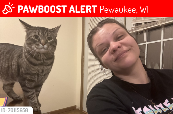 Lost Male Cat last seen Capitol Dr &Hunters Ridge Rd, Pewaukee, WI 53045