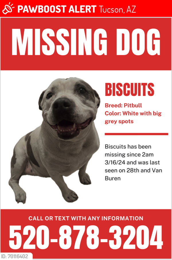 Lost Female Dog last seen 28th and Van Buren, Tucson, AZ 85711