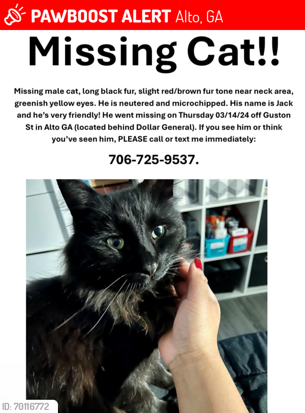 Lost Male Cat last seen Dollar General Alto, GA, Alto, GA 30510