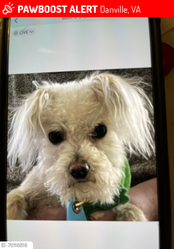 Lost Male Dog last seen Near orphanage rd, Danville, VA 24540