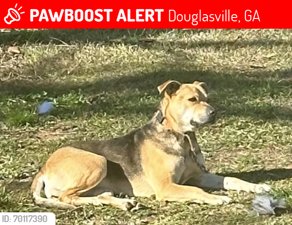 Lost Female Dog last seen Yeager Middle School, Douglasville, GA 30135