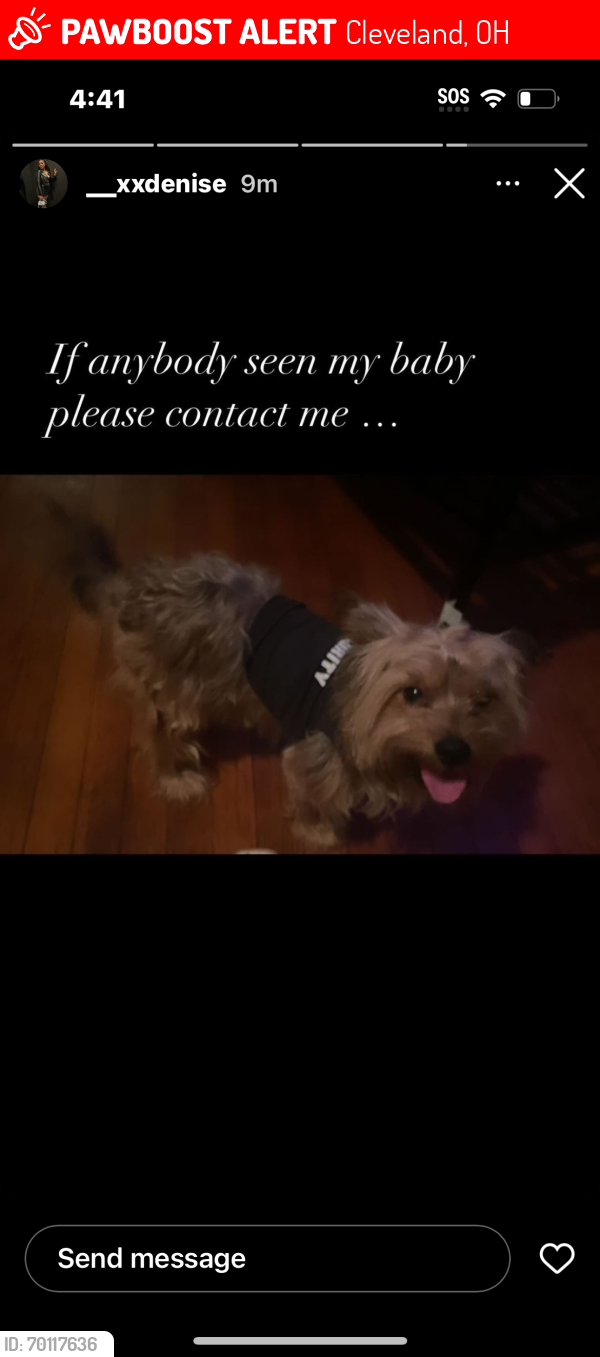 Lost Male Dog last seen Kirkwood. Looks very confused and skittish. Headed towards library on Noble., Cleveland, OH 44112