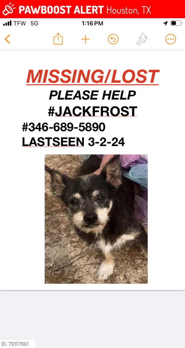 Lost Male Dog last seen Near West rd. Across from Grey Elementary , Houston, TX 77038
