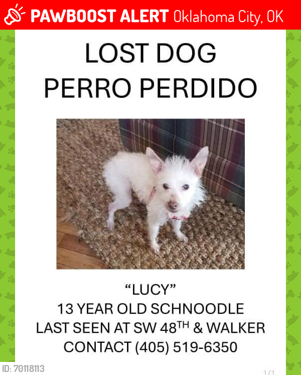 Lost Female Dog last seen SW 48th Street and Walker , Oklahoma City, OK 73109