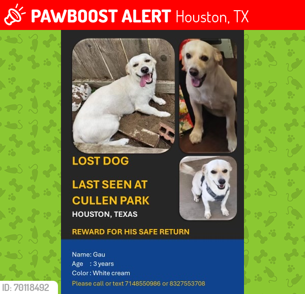 Lost Male Dog last seen Cullen Park, Houston 77084, Houston, TX 77084