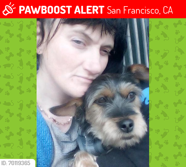 Lost Male Dog last seen Larkin , San Francisco, CA 94108