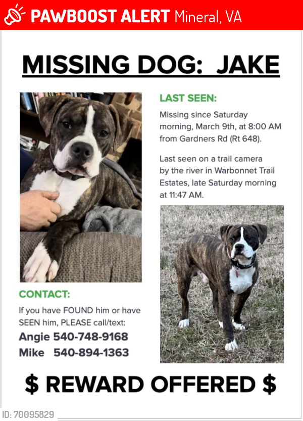 Lost Male Dog last seen Gardners Rd between Rt 33 and Rt 522, Mineral, VA 23117