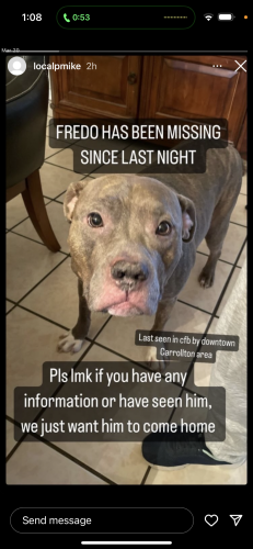 Lost Male Dog last seen Beltline and Denton, Carrollton, TX 75006