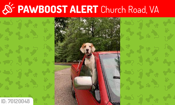 Lost Male Dog last seen Courthouse Rd., Dinwiddie, VA near Church Road market, Church Road, VA 23833