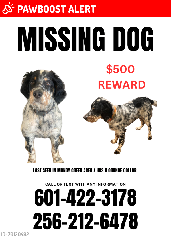 Lost Male Dog last seen Lake Martin, Tallapoosa County, AL 36861