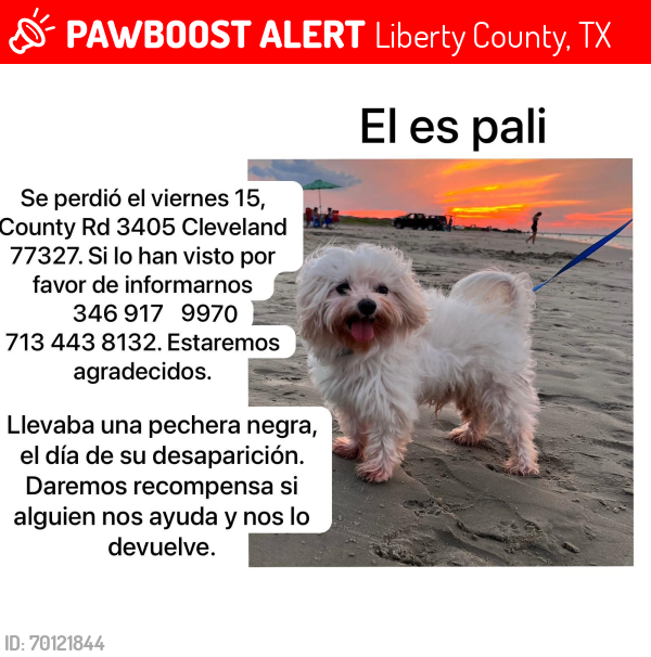 Lost Male Dog last seen County Road 3405 Cleveland 77327, Liberty County, TX 77327