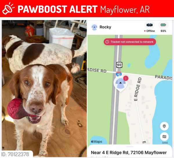 Lost Male Dog last seen Near 4 E Ridge Rd Mayflower AR 72106, Mayflower, AR 72106
