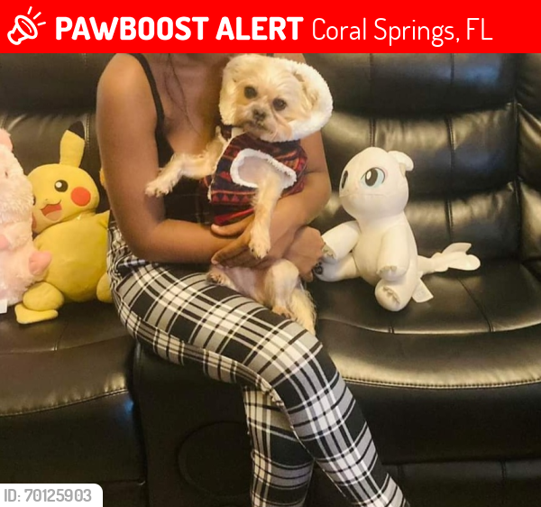 Lost Female Dog last seen Near NW 39th St, Coral Springs, FL 33065