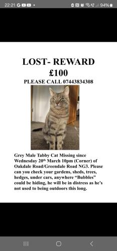 Lost Male Cat last seen Post office, Carlton, England 
