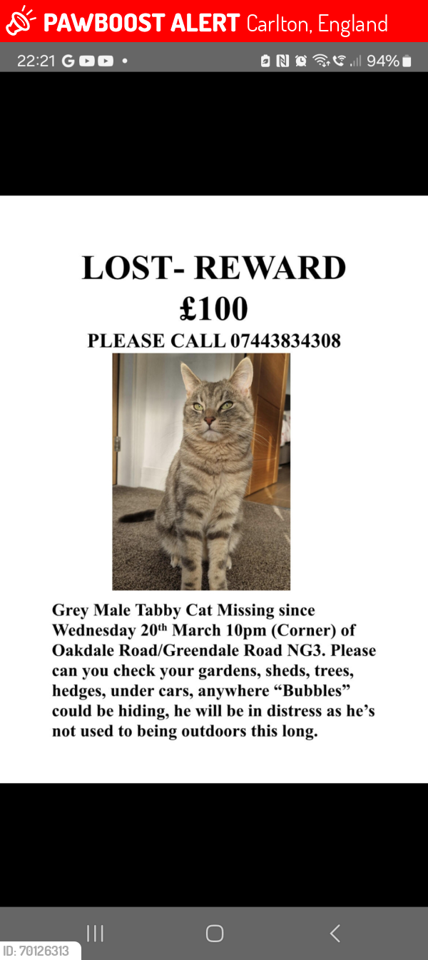 Lost Male Cat last seen Post office, Carlton, England 